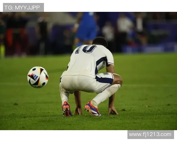 狗孩足球论坛：探索狗狗与足球的完美结合，共享快乐与激情的宠物运动社区