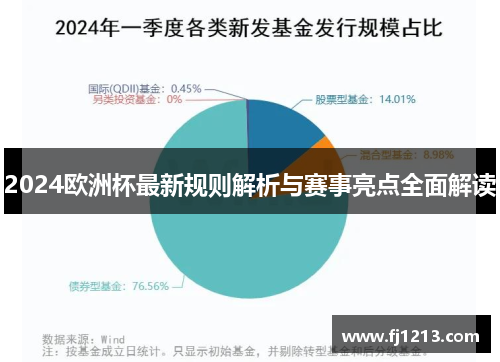 2024欧洲杯最新规则解析与赛事亮点全面解读